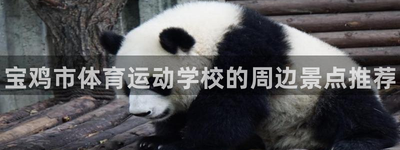 J9官网下载招商电话是多少啊：宝鸡市体育运动学校的周边景点推