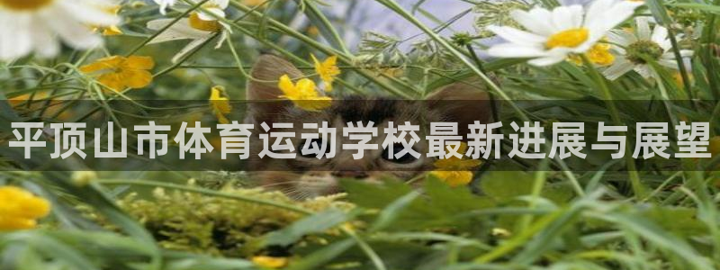 J9官网下载招商电话是多少
