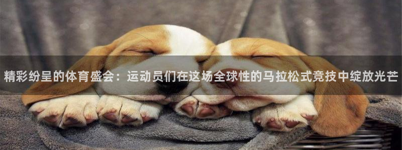 J9官网下载招商电话是多少啊